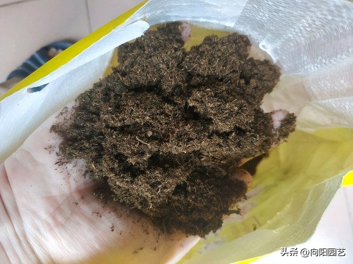 进口泥炭土哪个好,进口十大泥炭土排行