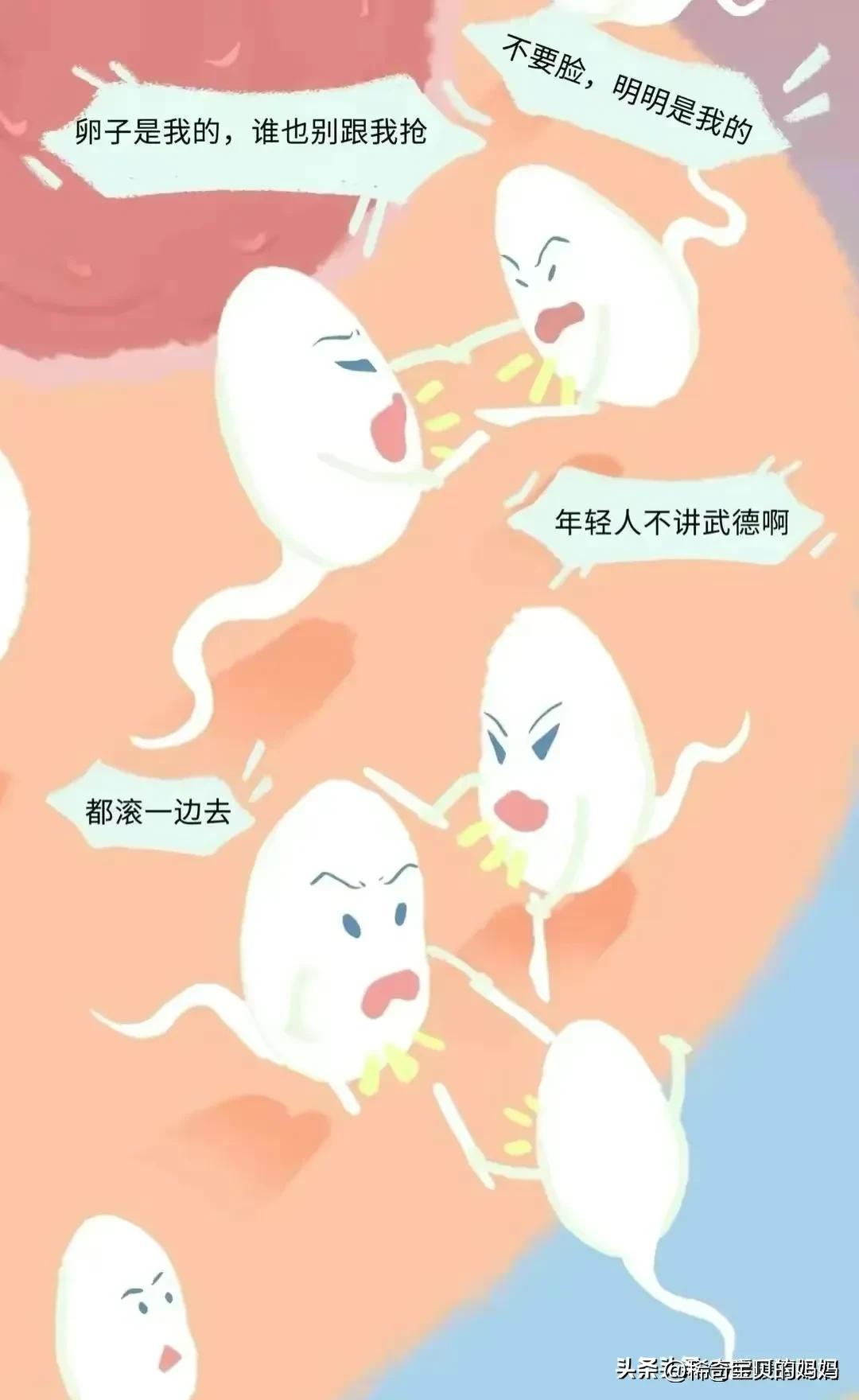 科普知识小蝌蚪怎么成长为青蛙,小蝌蚪动画的成长过程