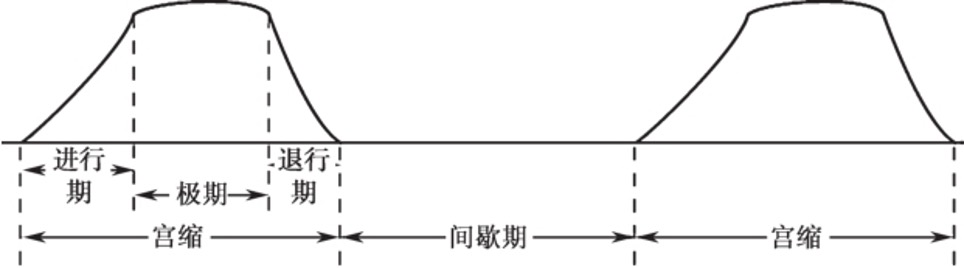 子宫收缩剧烈会羊水破裂吗,子宫小会导致羊水早破吗