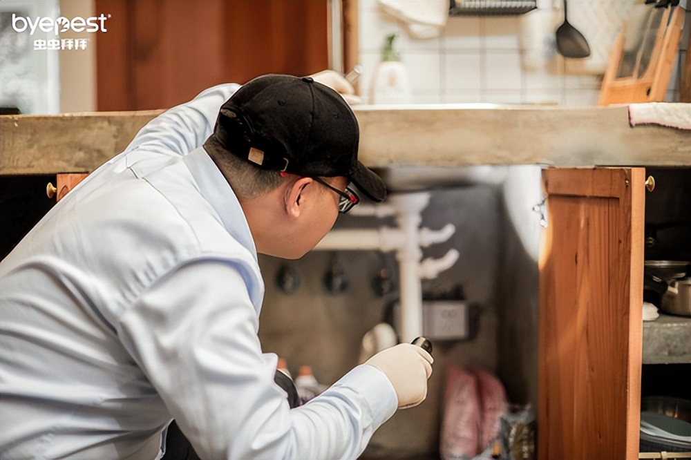 Byepest虫虫拜拜——守护家庭环境，告别虫害烦恼