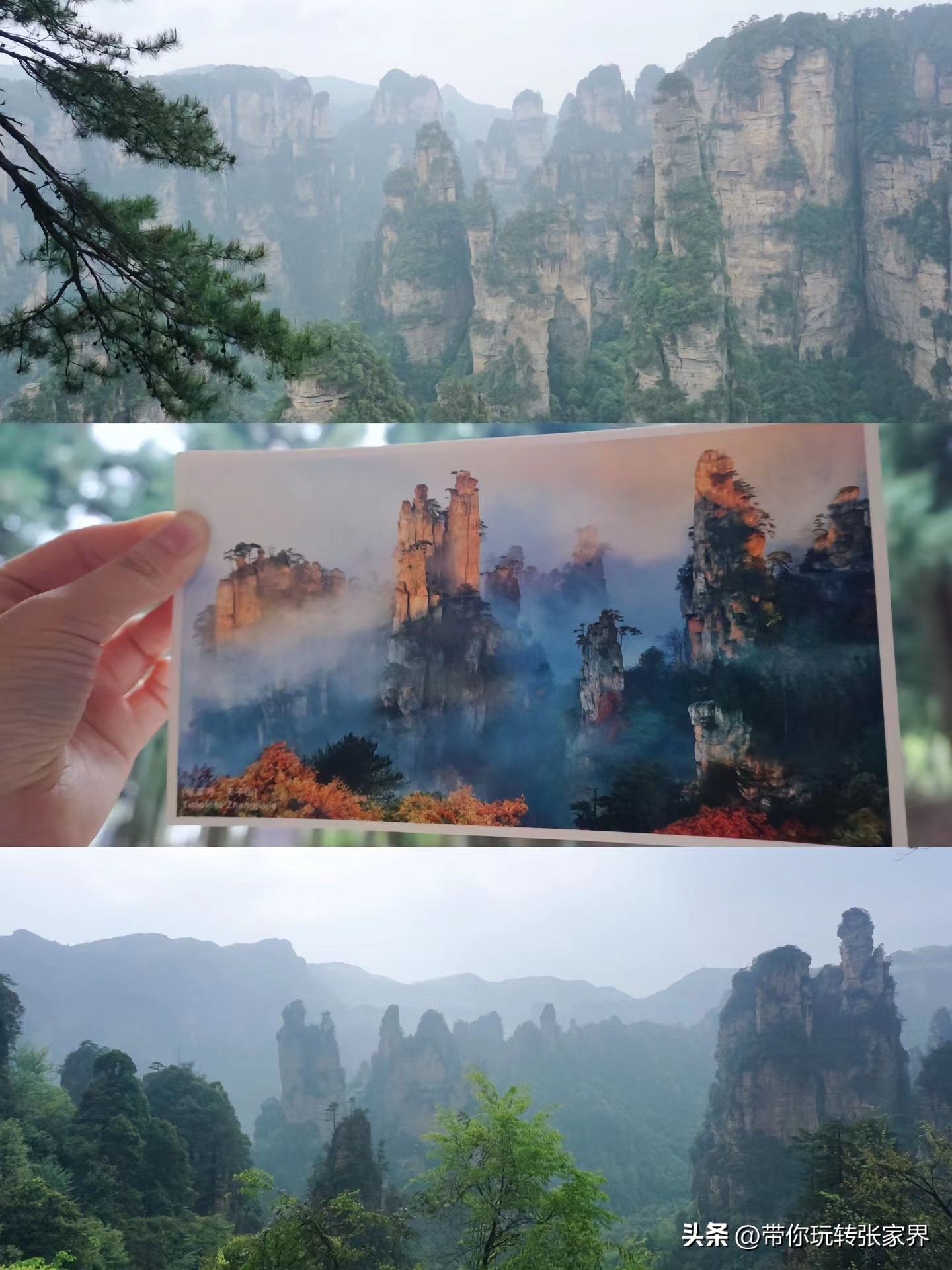 福州去长沙张家界凤凰古城攻略,张家界凤凰古城芙蓉镇自驾游攻略