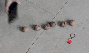 跟女网友奔现后感觉被骗了,被女网友骗了钱怎么办