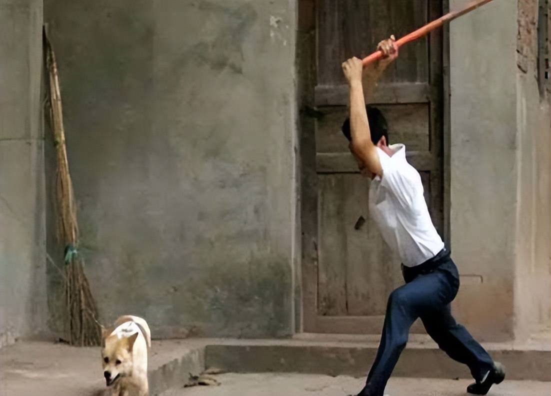 如何应对很凶的狗,遇到凶狗的正确方法