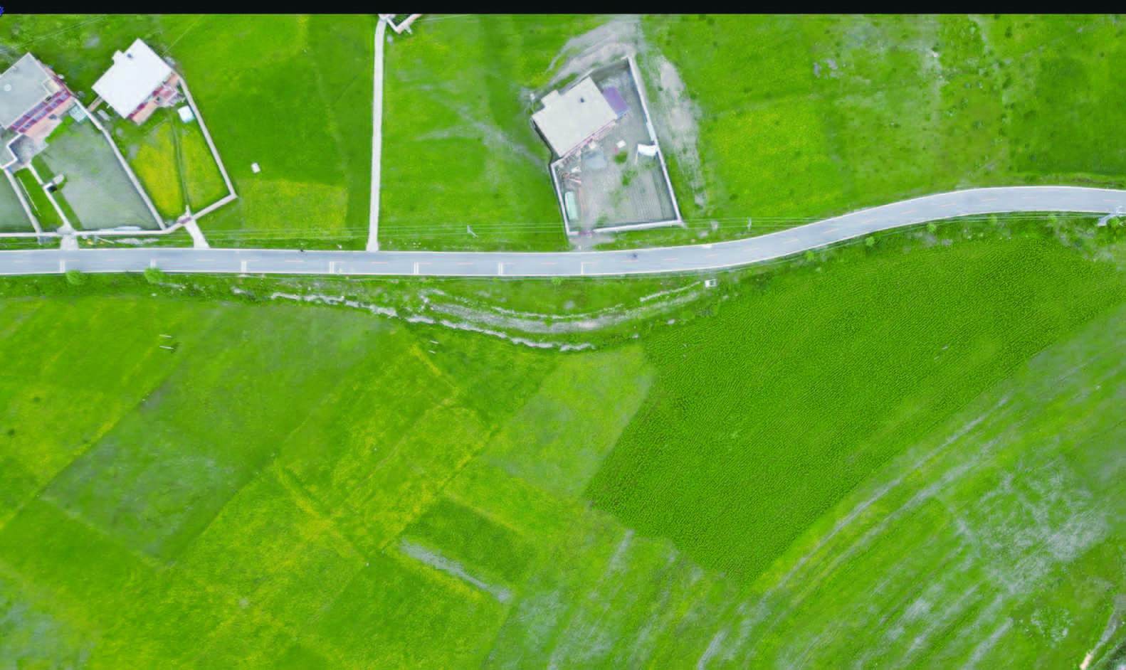 德格名贵藏药,德格藏医