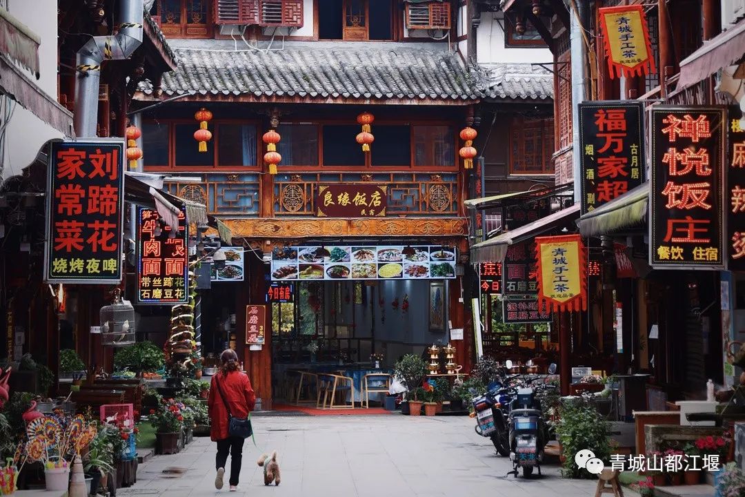 青城山森林秘境,青城山风光好去处