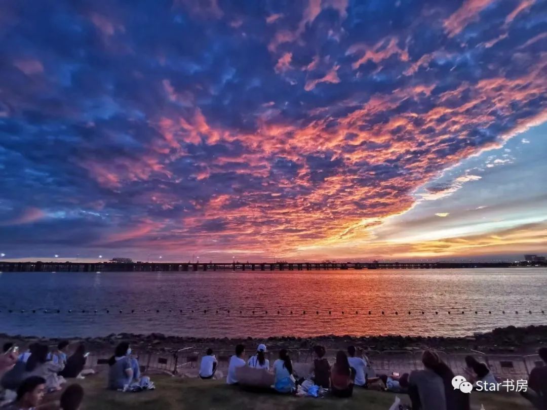 选股系统,选股软件哪家好