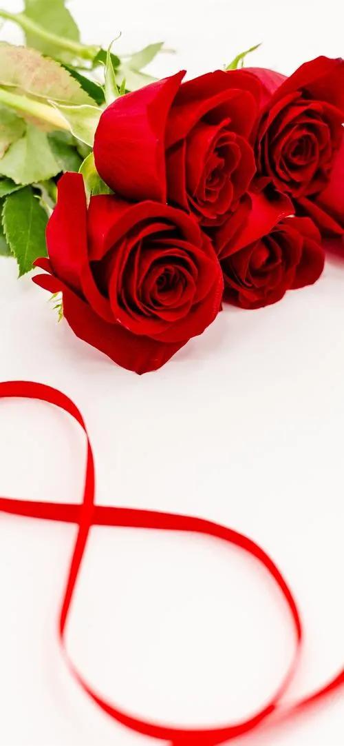 520浪漫玫瑰花壁纸,红玫瑰花壁纸大图