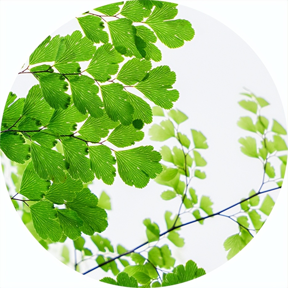 成长是一种美丽的痛作文12篇,成长的滋味优秀作文三篇