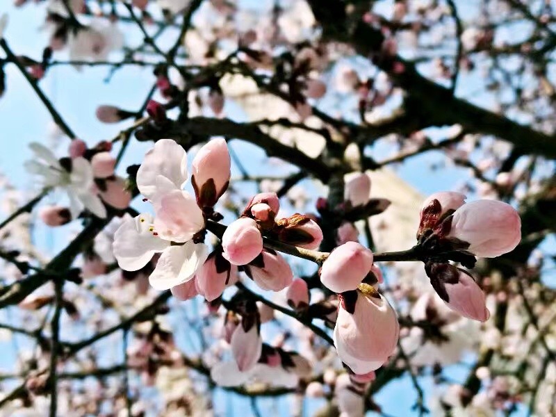 带你寻找诗和远方,带你寻找最美的诗和远方