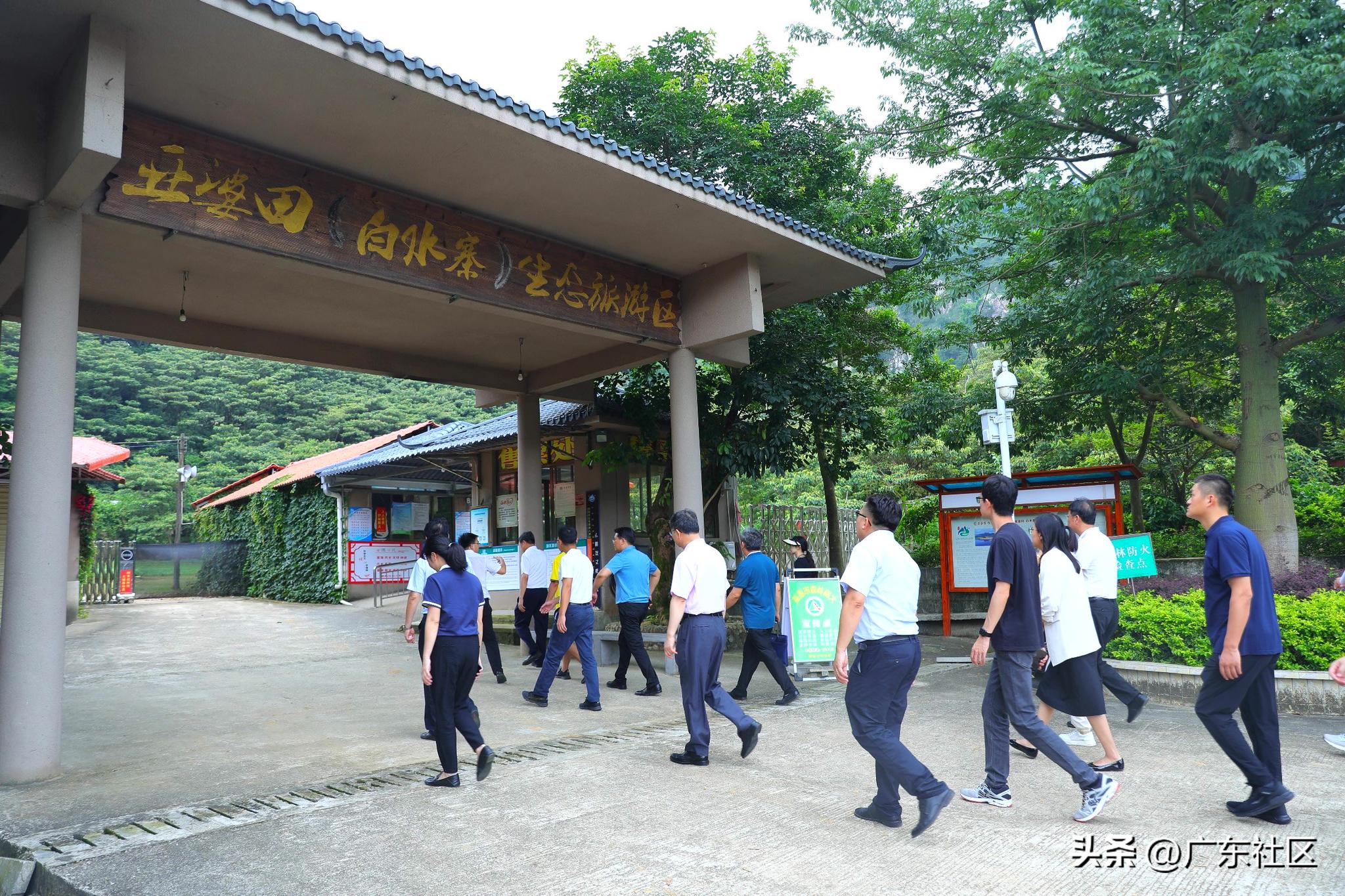 走进乡村看发展系列报道,乡村特色产业发展布局及主要成效