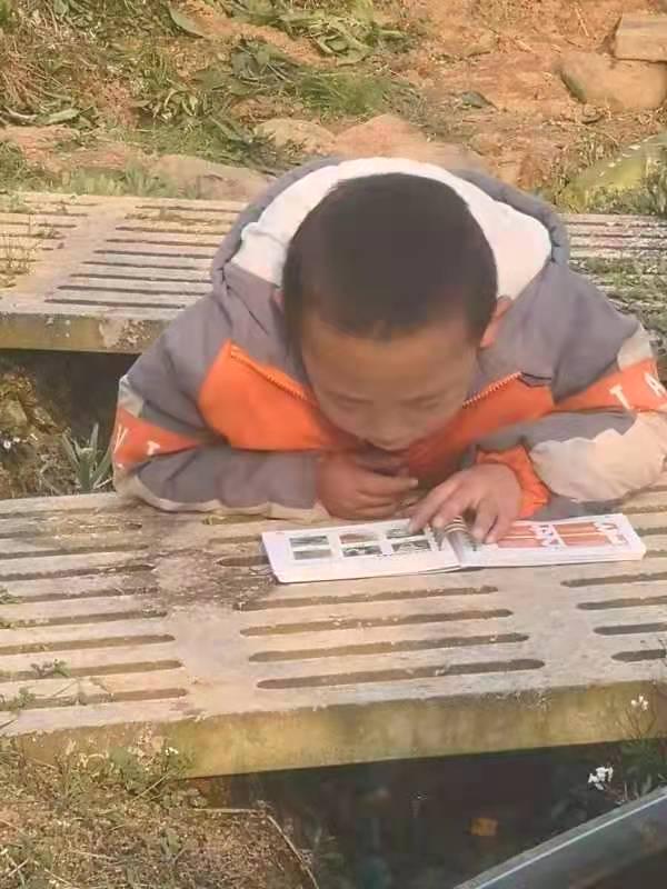 回老家创业种柑橘,大学生创业种柑橘