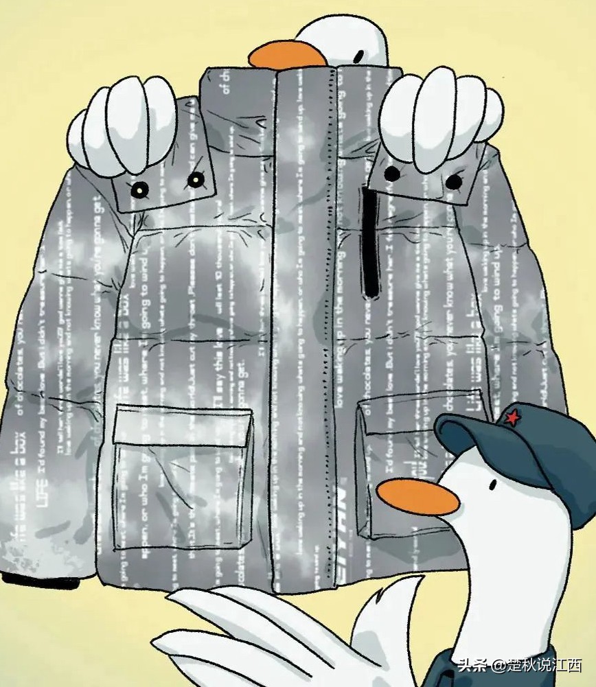 50年国货品牌,20年前中国的羽绒服品牌有哪些