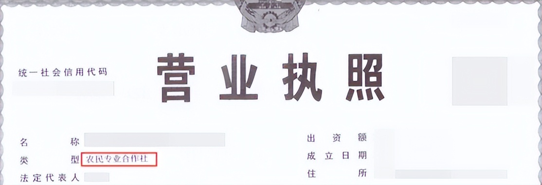 【博和利五经普论策】浅谈单位清查填报注意事项及可行性方法
