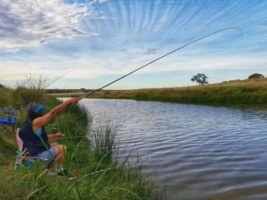 悬赏五百万抓鲤鱼,悬赏20万抓鱼