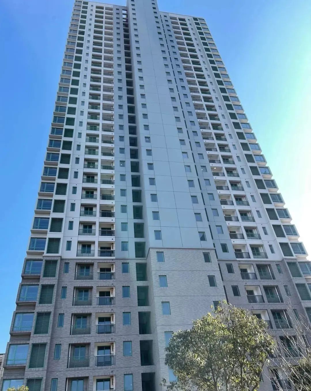 2022年嘉定菊园重点规划,2022年嘉定新房大全