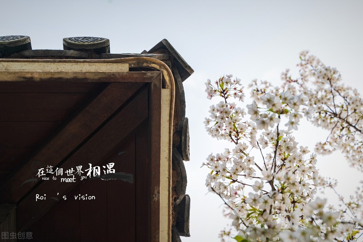 时光荏苒岁月如梭的拼音,时光荏苒岁月如梭完整的歌