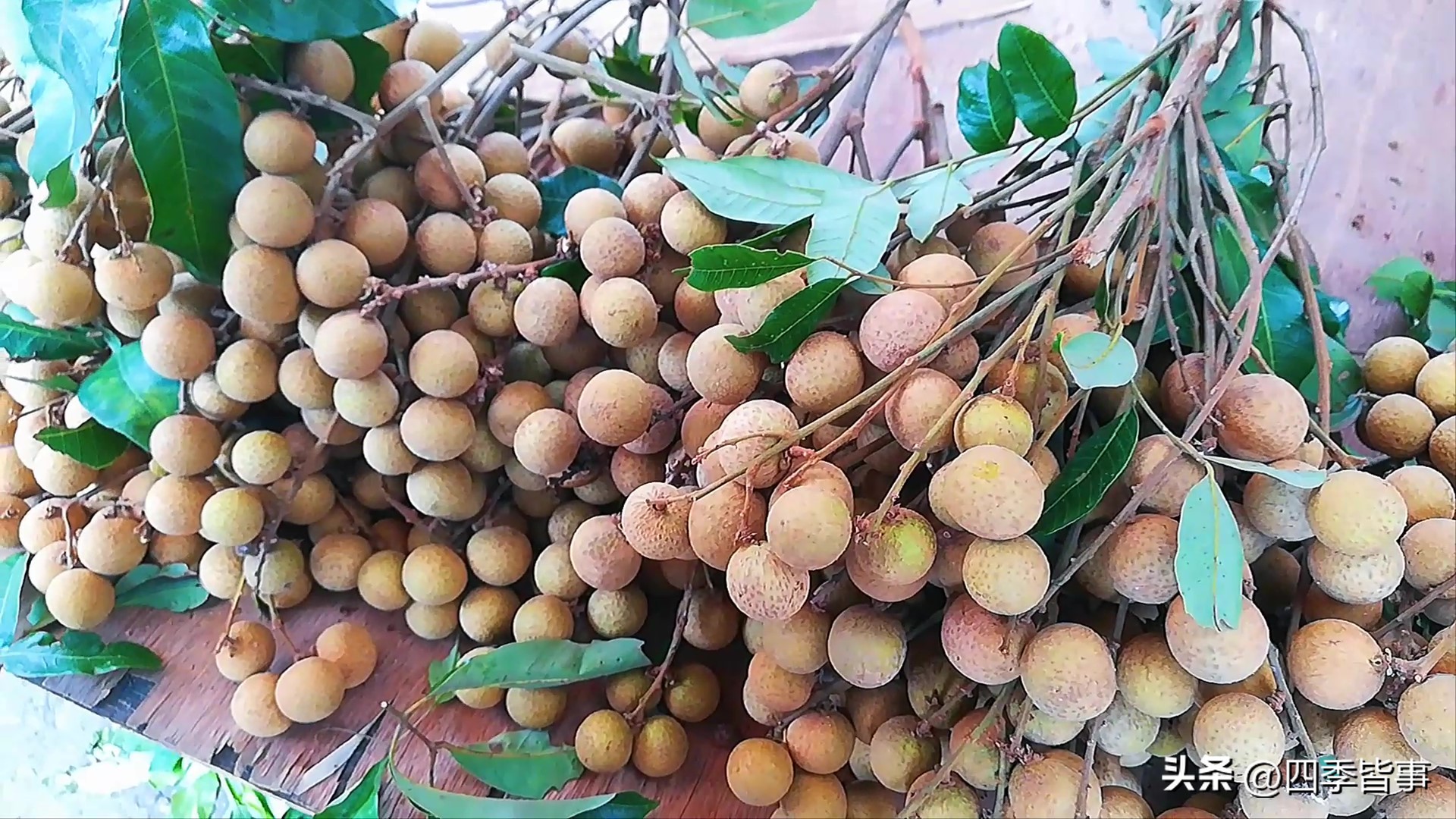 这4种水果热着吃润燥止咳调肠胃,消暑法宝来了这四种水果少不了