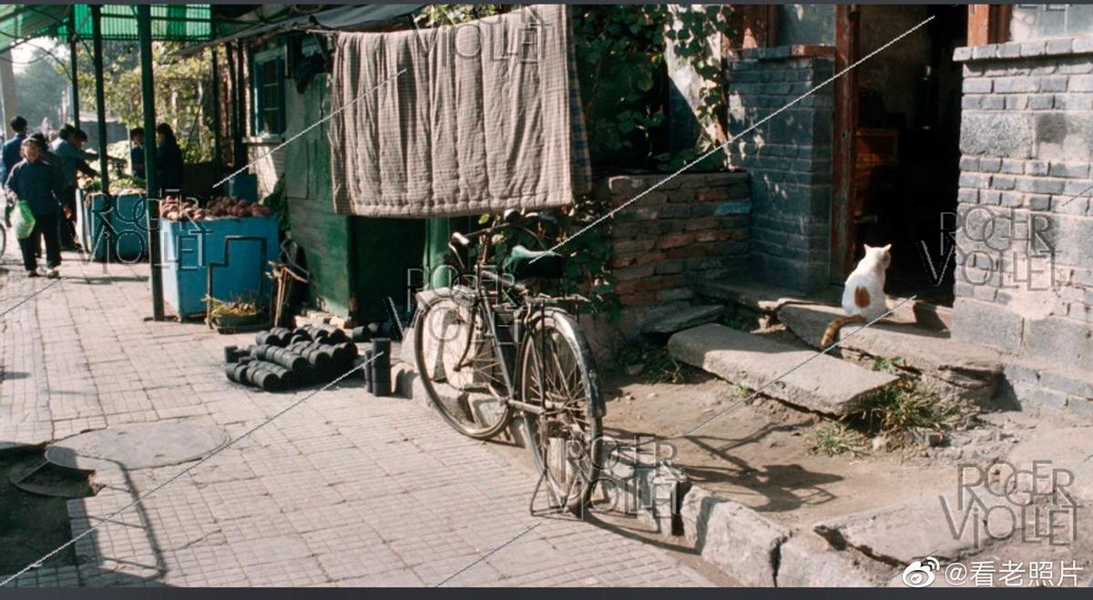 高清老照片：旗人格格大腿岔开豪放洗衣，地主三妻四妾不输女明星