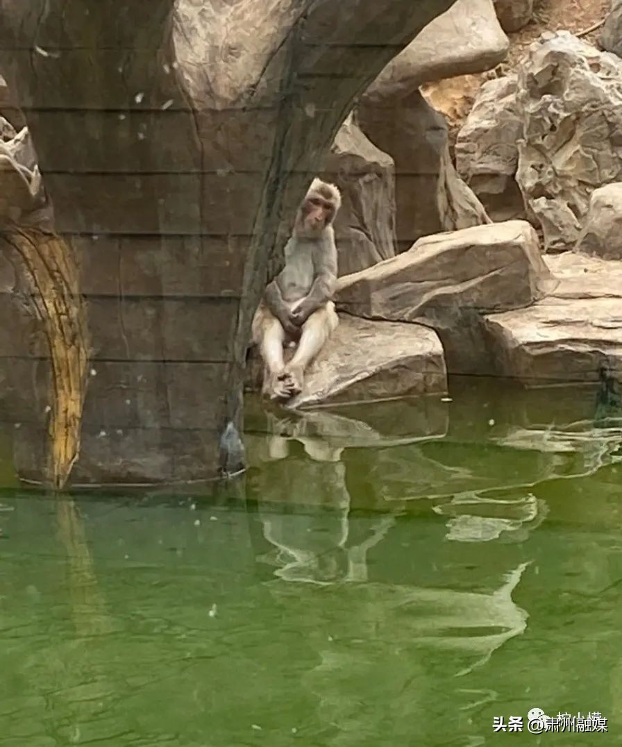 盘点那些在网购的山寨货,盘点那些网购的山寨物品