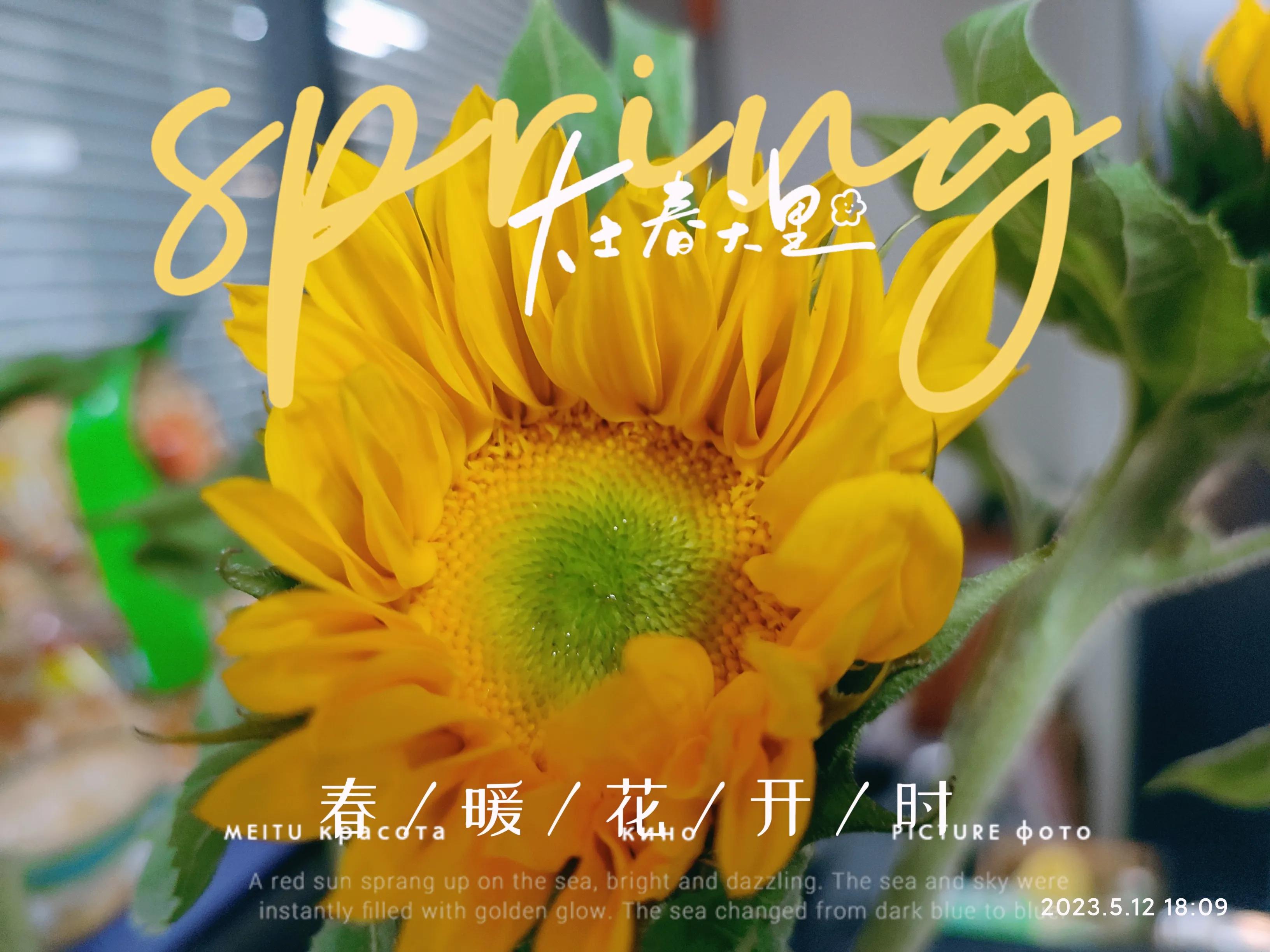 央视推荐：下班悄悄做这6件事，和同龄人拉开差距然后惊艳所有人