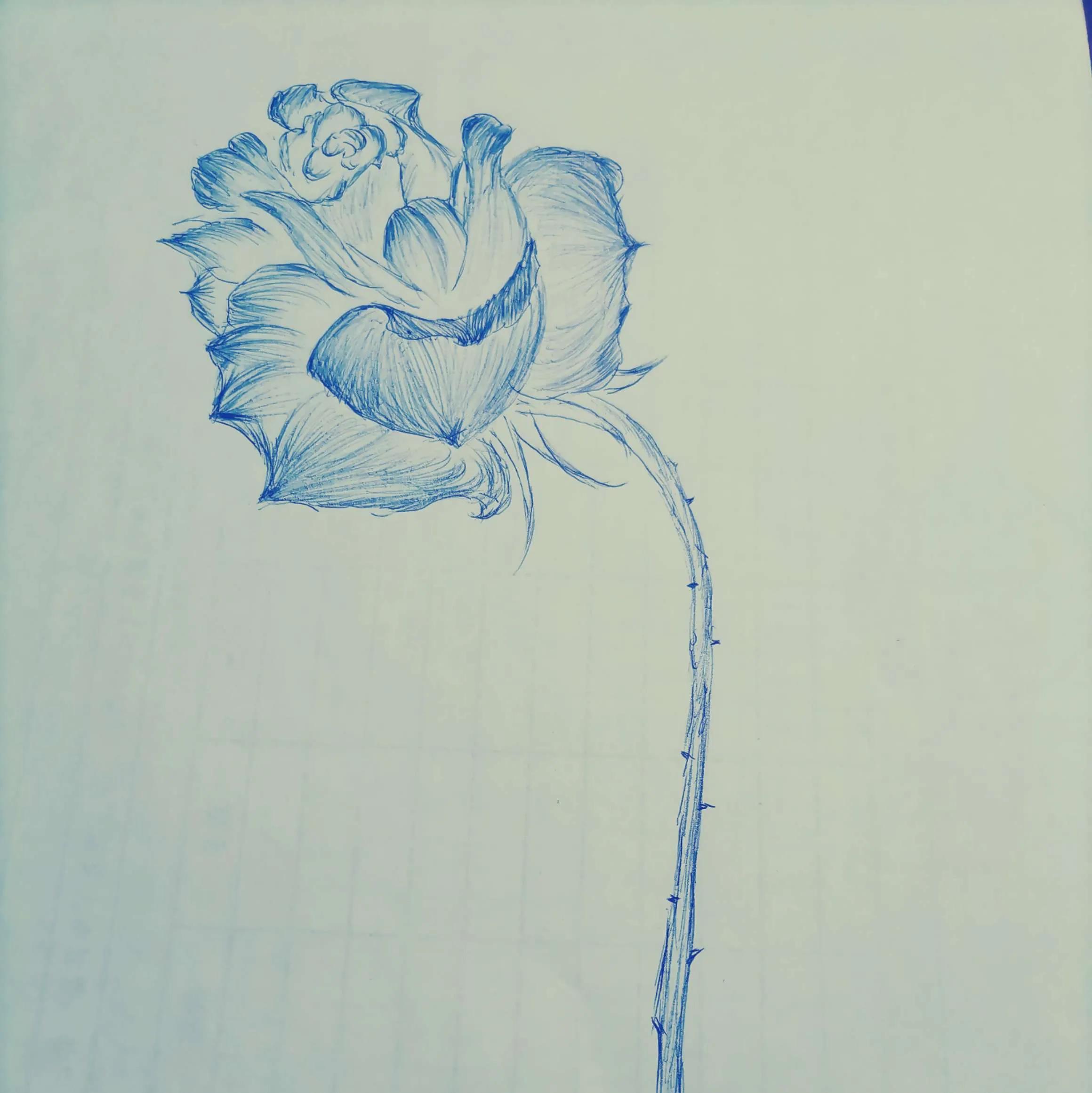 药源性疾病的处理原则,药源性疾病的发生原因及防治原则