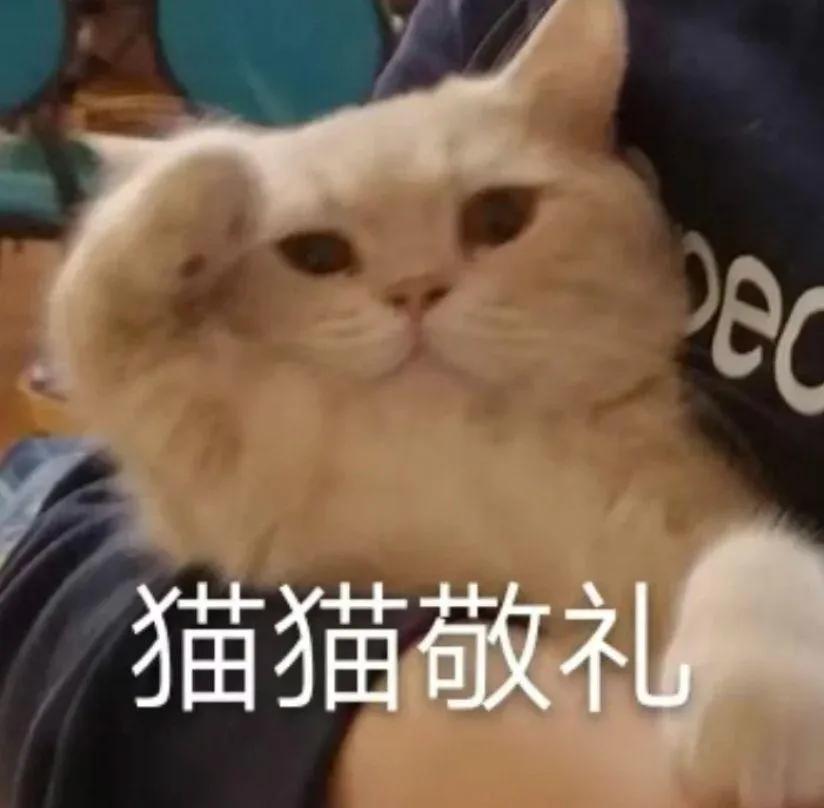 轻轻敲醒沉睡的心灵表情包高清,轻轻敲醒沉睡的心灵表情包