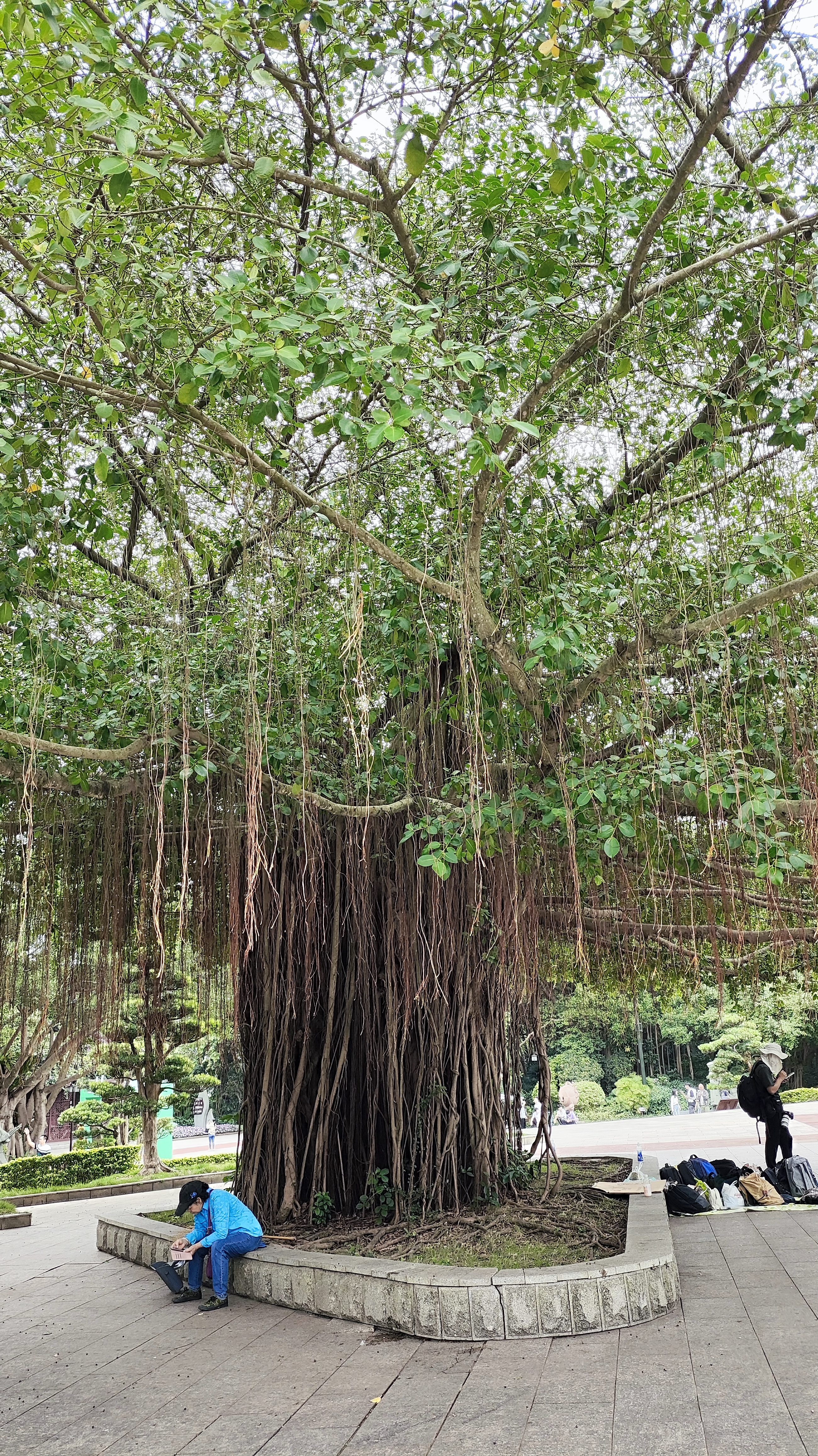 2个人去云南旅游5天多少钱,去北京穷游三天需要多少钱费用