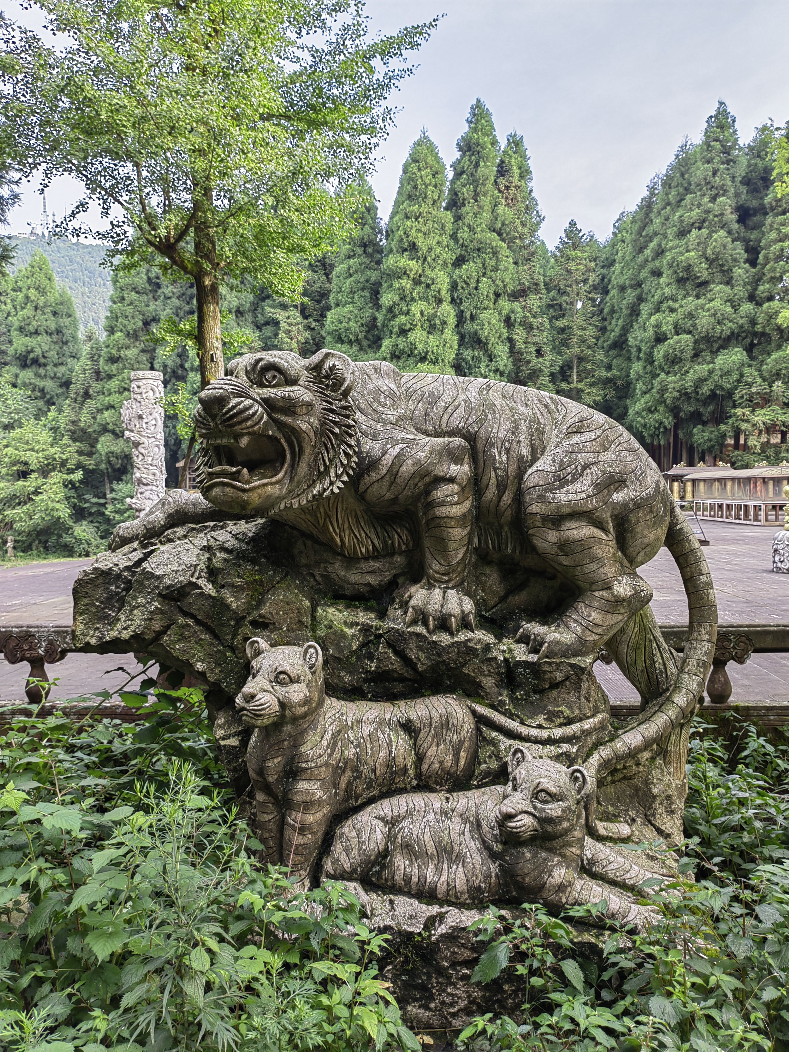 武陵山森林公园罗汉,武陵山国家森林公园看猴子