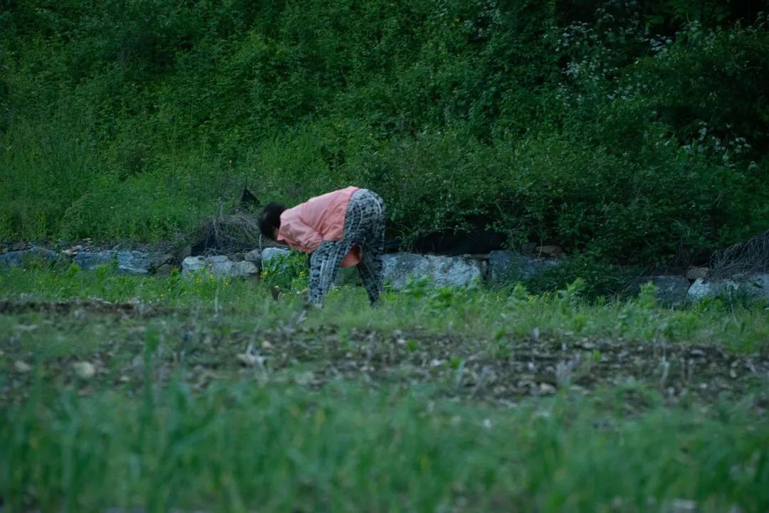 乡村振兴农民最关心的问题是什么,关于乡村振兴及三农的自我见解