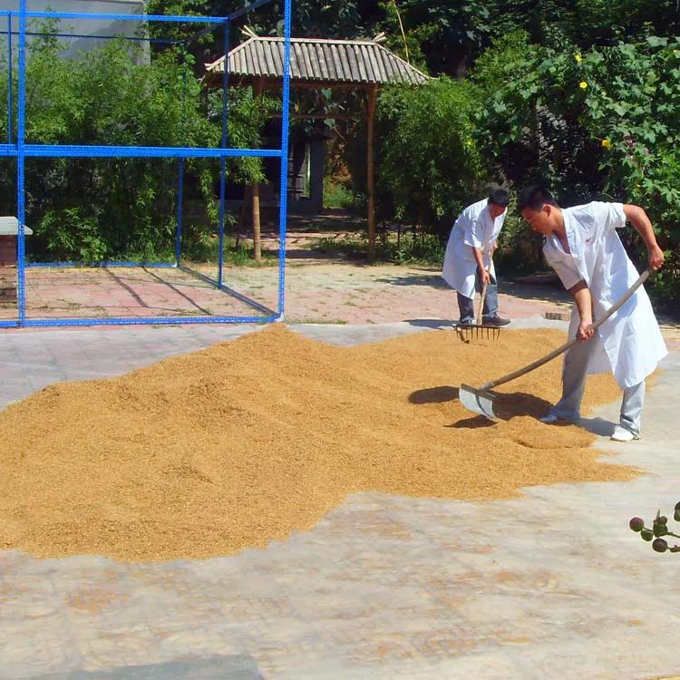 养苍蝇年入百万，养蝇姑娘了不起