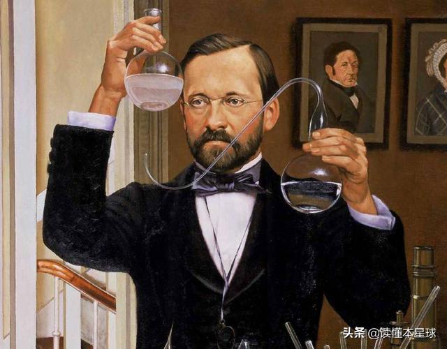 澳大利亚为什么不能拿猞狸灭兔,兔子入侵澳大利亚怎么解决