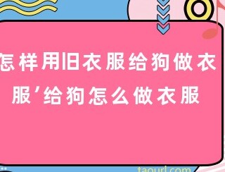 如何用旧衣服改造成小狗的衣服,怎样用一个旧衣服给小狗做衣服