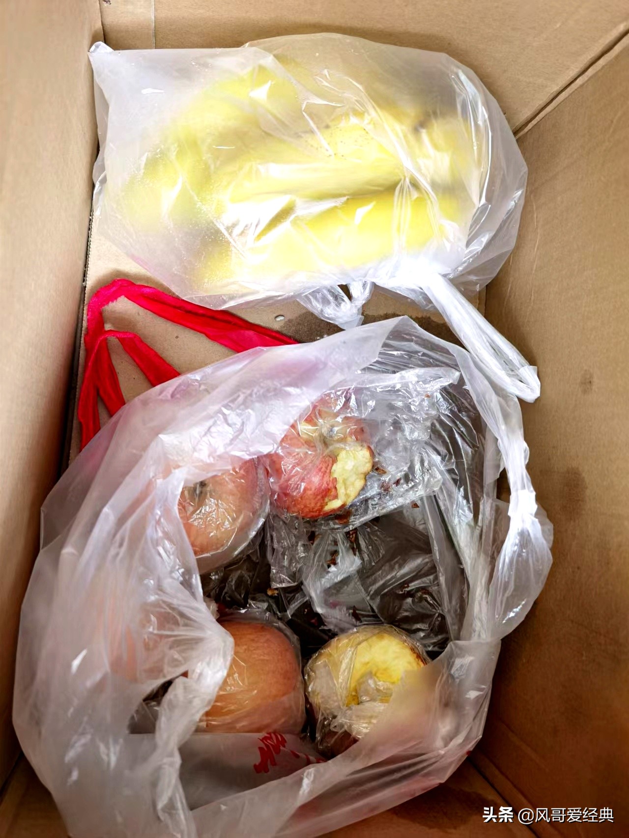 仓鼠掩耳盗铃偷吃猫粮,一只笨鼠主人偷吃仓鼠零食