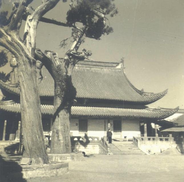 52年毛主席游孔庙，对旁人打趣地说道：我考考你们，孔子姓什么？