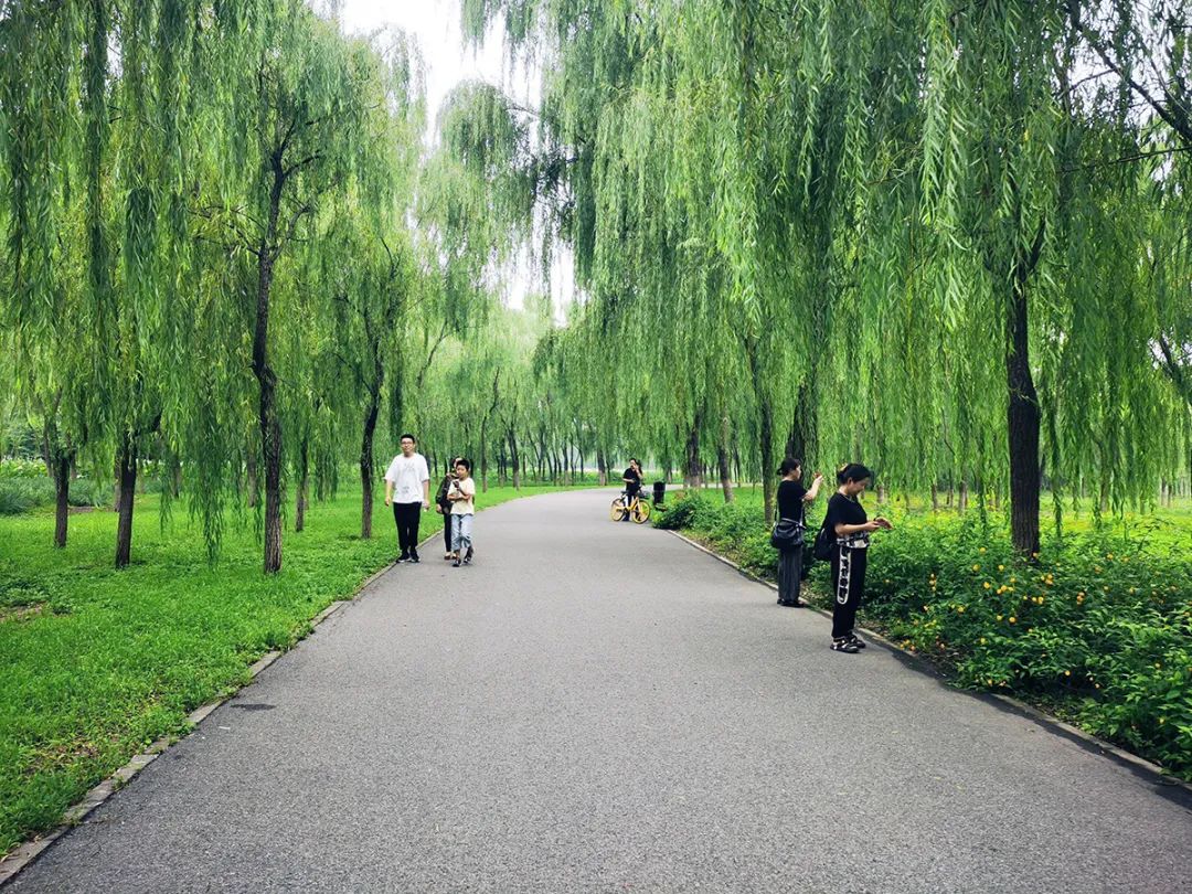 顺义区好玩的免费公园,顺义区公园景点有哪些