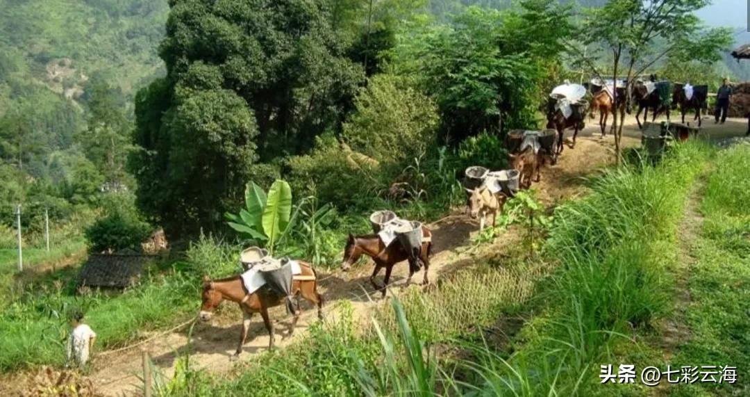 攀登武当山的马邦