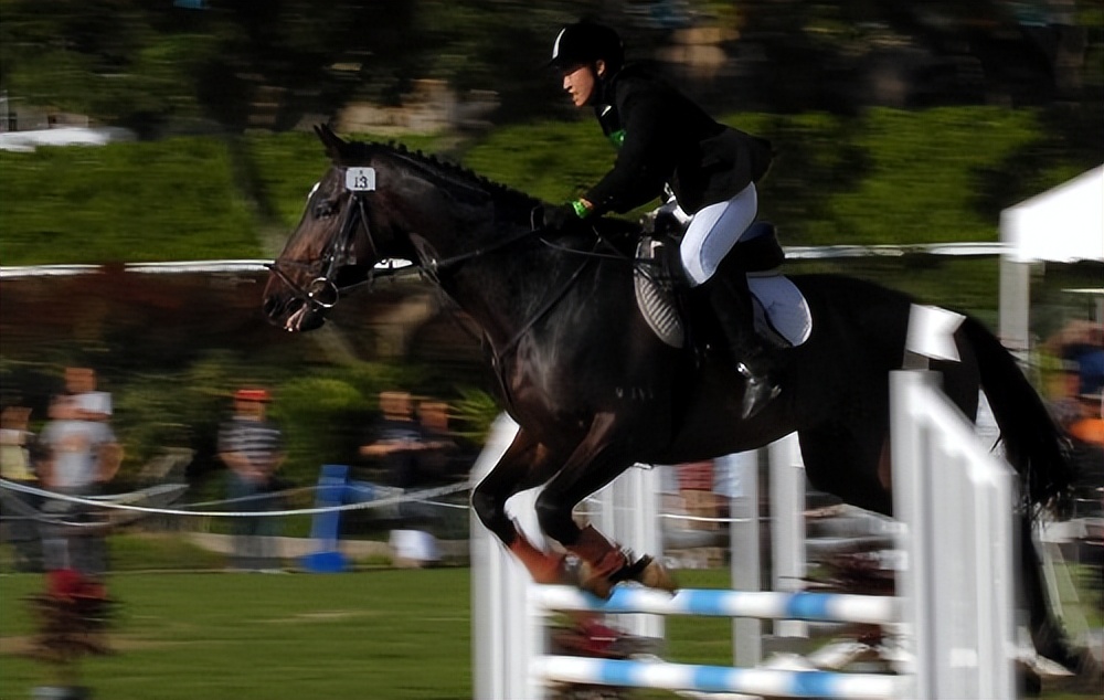 澳门与香港的冷知识,香港最有趣的冷知识