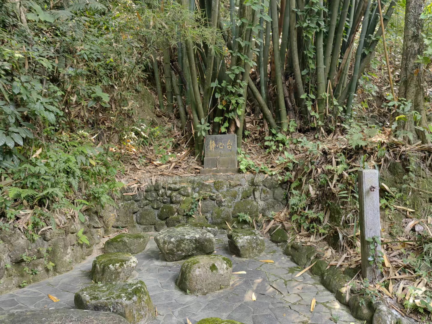 六祖惠能真实感悟,六祖惠能故居视频