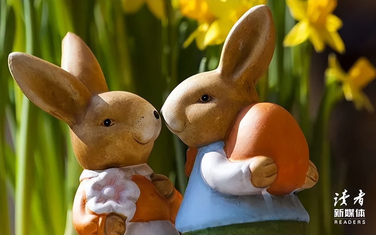 我姐嫁给了老公的哥哥,3年后的一天,她说了个惊人的故事