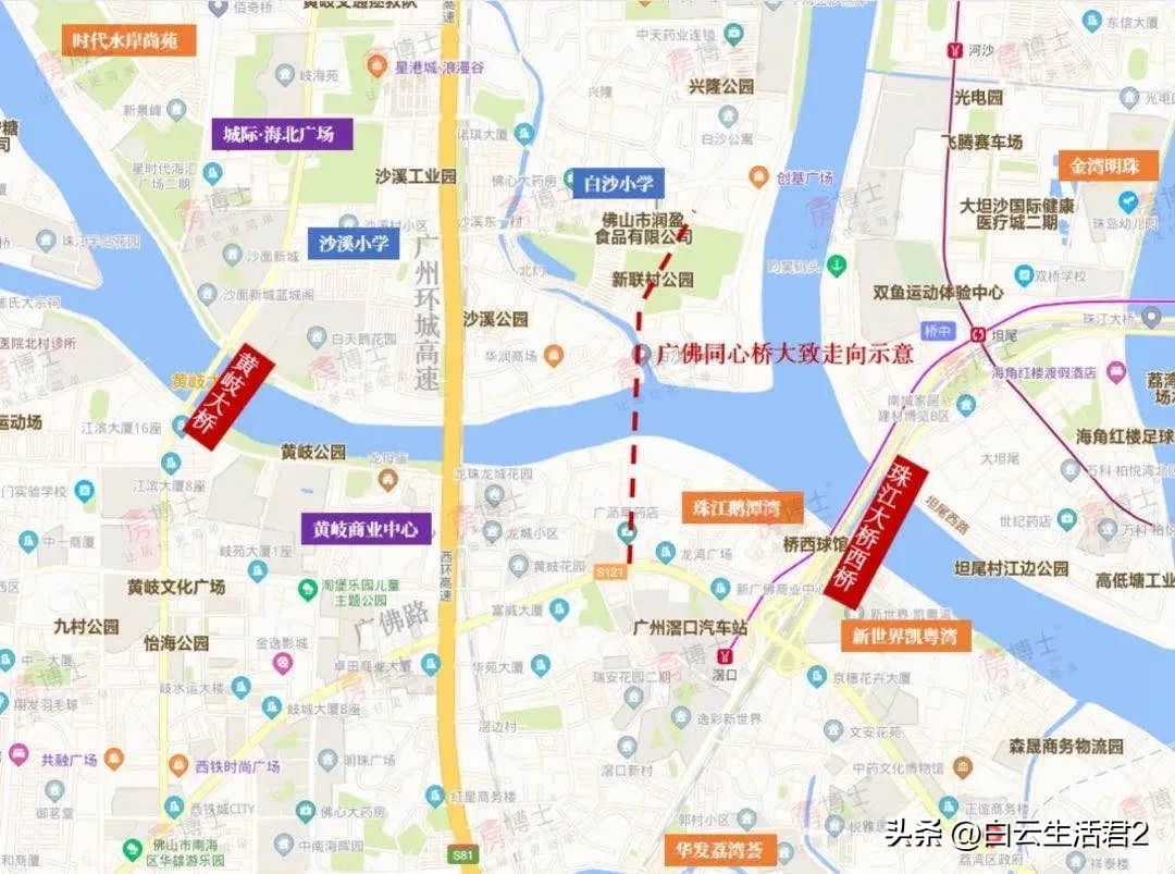 金沙洲发展前景如何,金沙洲板块发展规划