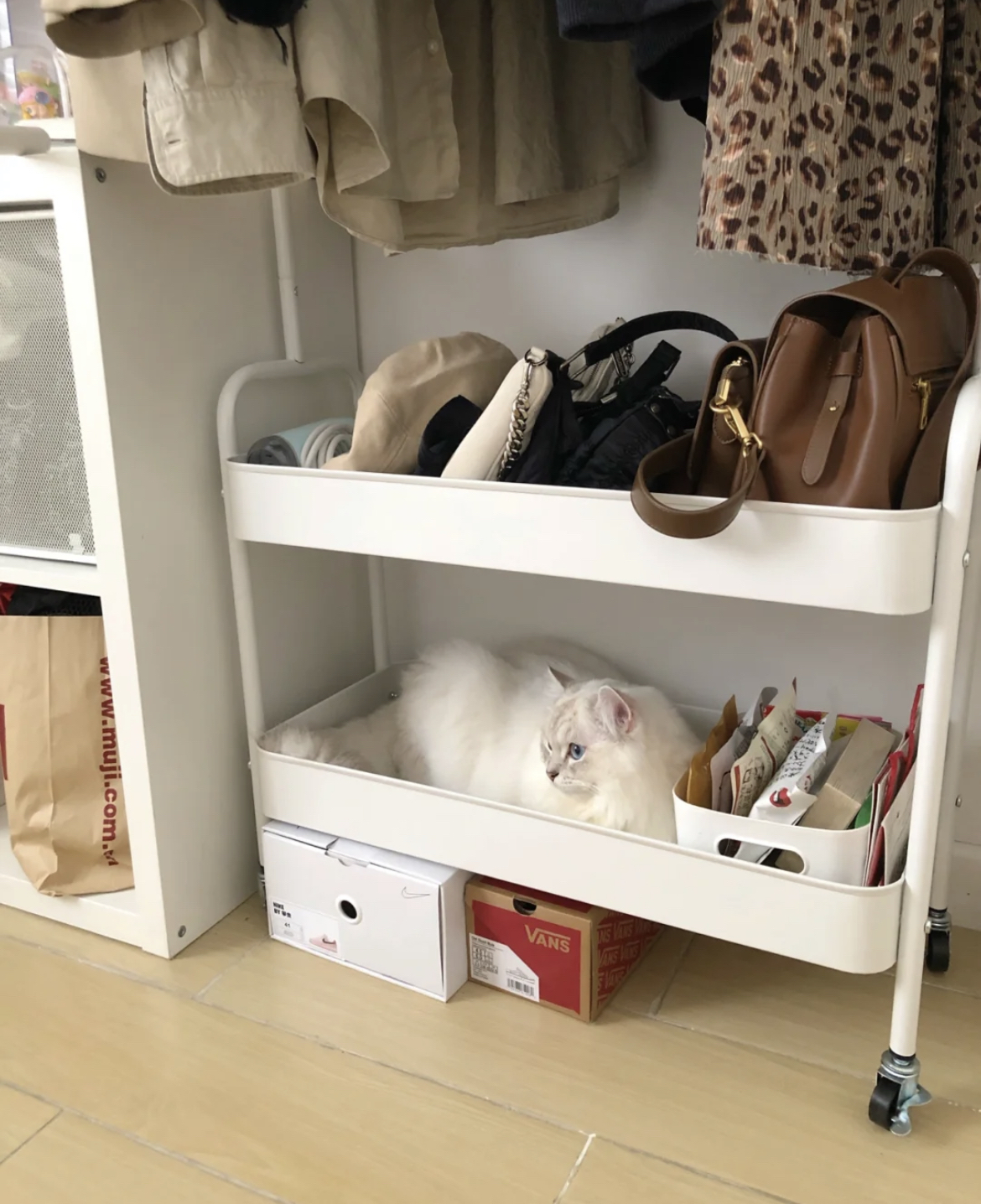 结婚3年,最佩服老婆置办的这10个小物件,让我少挨不少骂