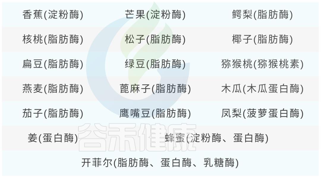 各种消化酶的作用,消化酶由哪些产品组成