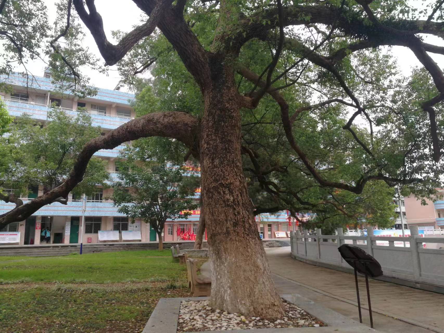 广州增城中新中学2016,广州中学60周年校庆