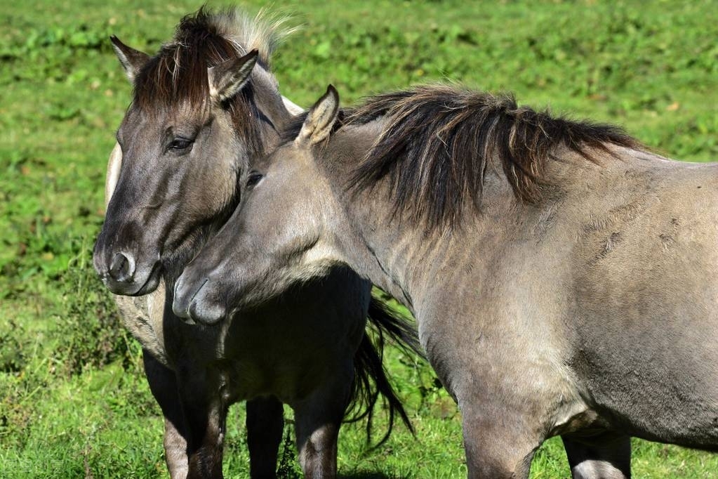 在澳门赚了5000万有什么待遇,在澳门做生意一个月赚多少钱