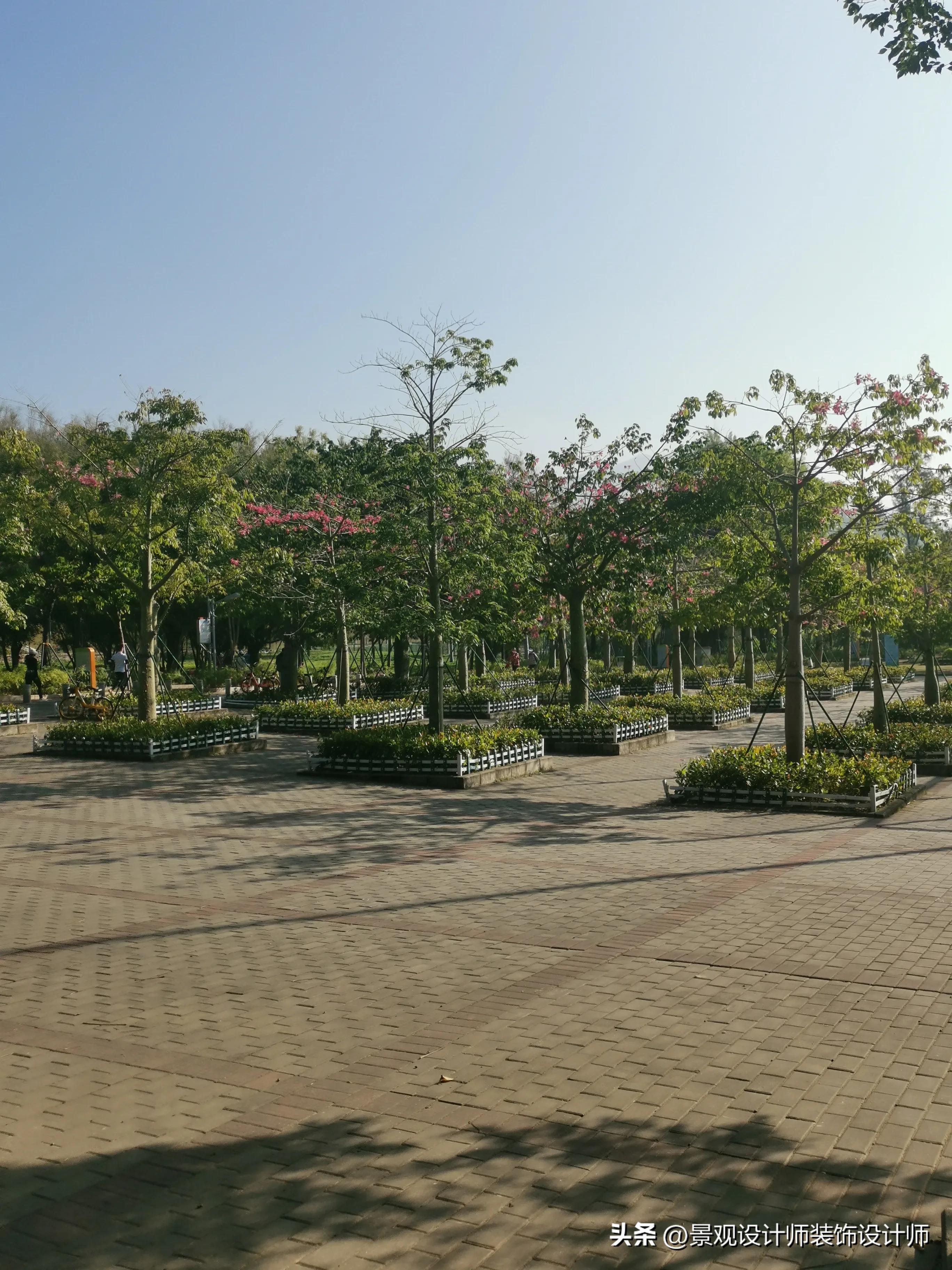 深圳市东湖公园广场舞,深圳市东湖公园收费标准