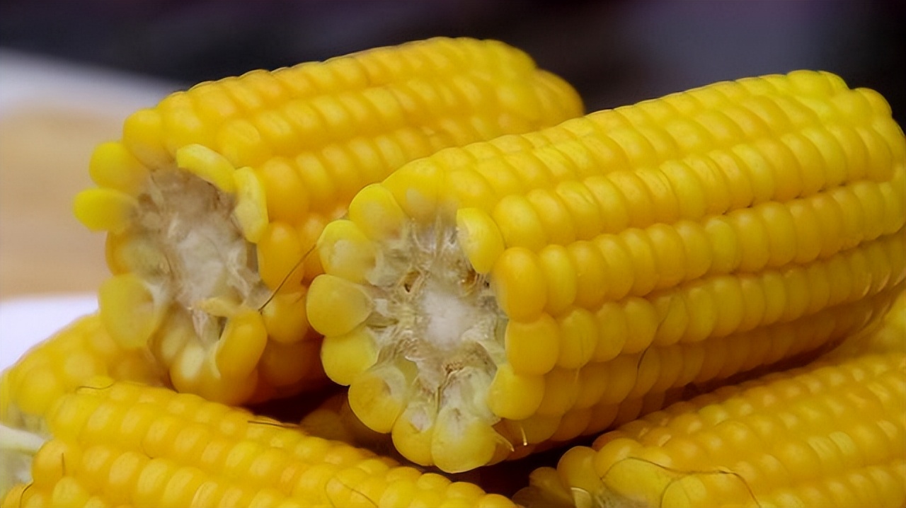 日本人不爱运动到什么地步,不爱运动的日本怎么这么长寿