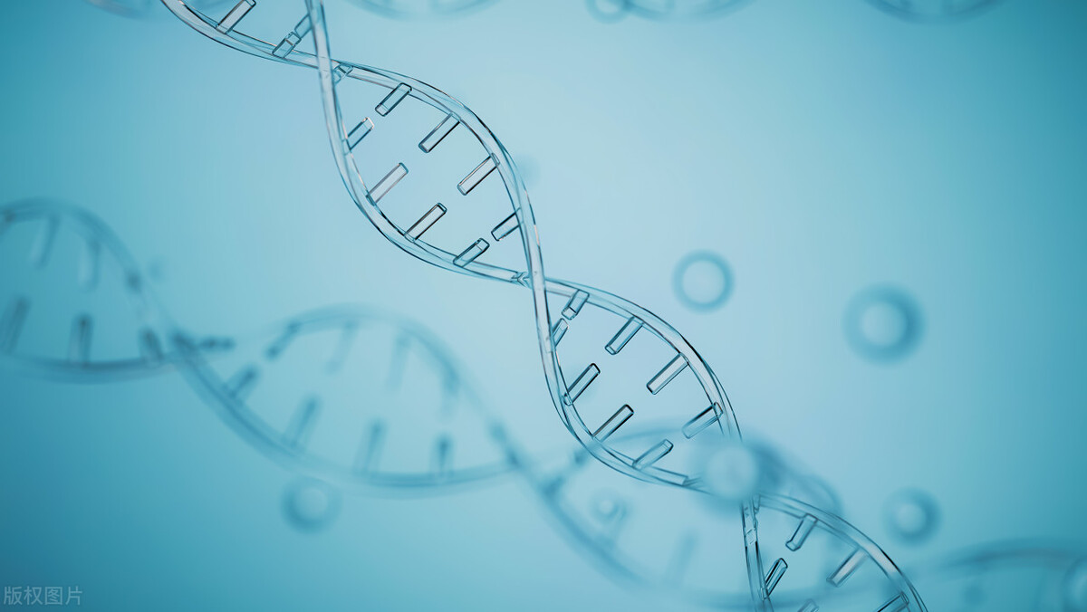 女性癫痫用什么药最好,癫痫男性多还是女性多