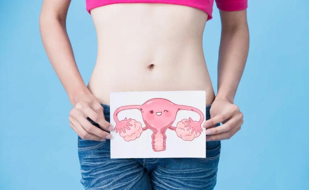 干细胞对卵巢功能衰退的治疗,干细胞应用于卵巢早衰的原理