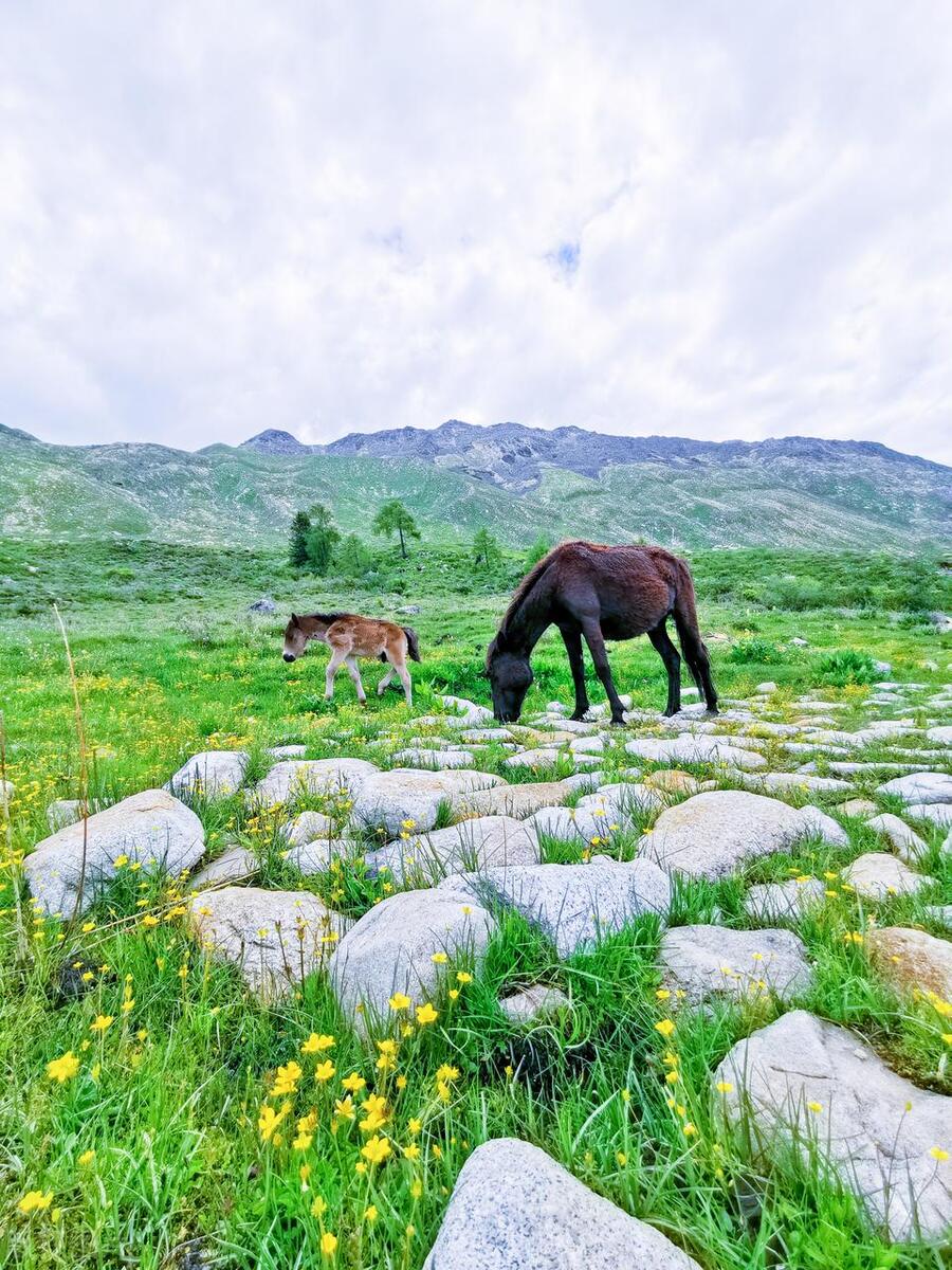 云南十大最美县城,中国最美的十大县城婺源