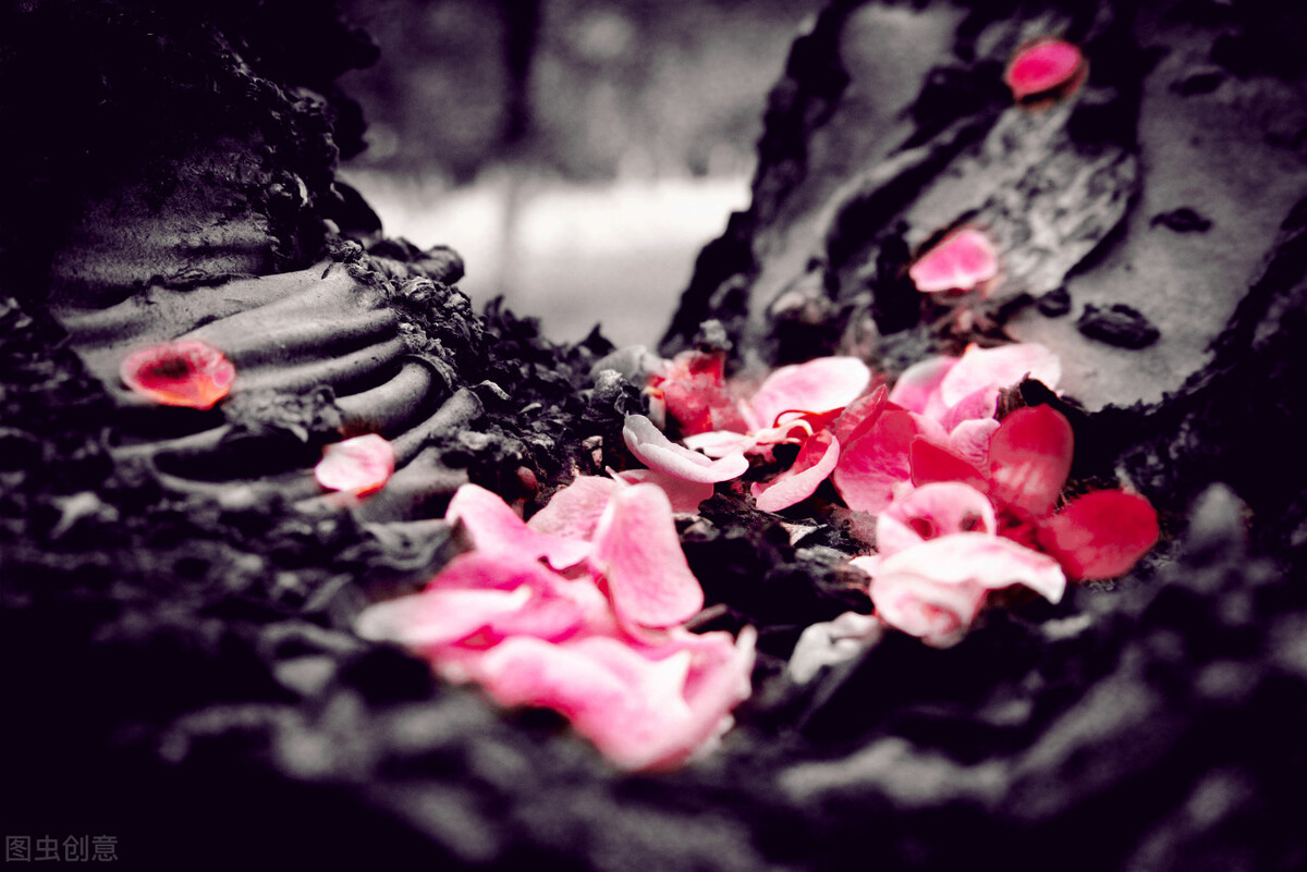 广仁寺黄财神吉祥物,广仁寺黄财神卡怎么摆放